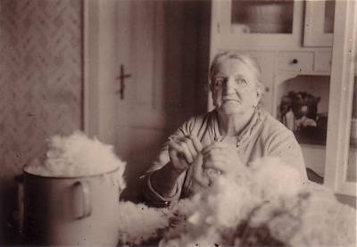 Smiice - rodina Mahlerova