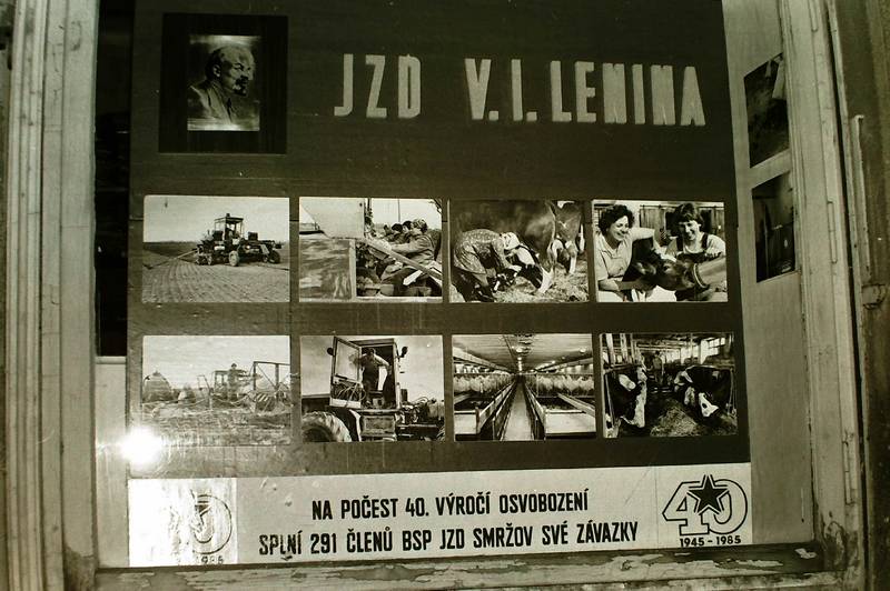 výloha