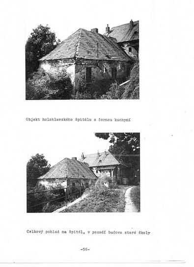 Týfová