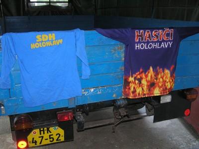 hasii Holohlavy