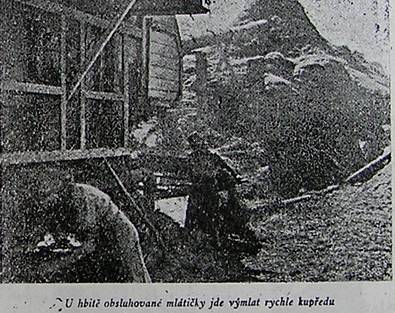 žně ve statku