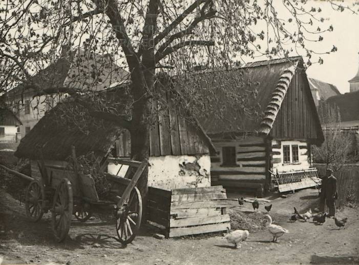 Tuček