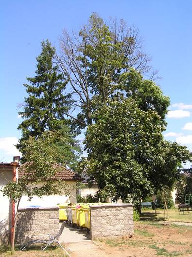 náves