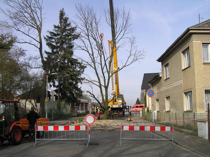 kácení