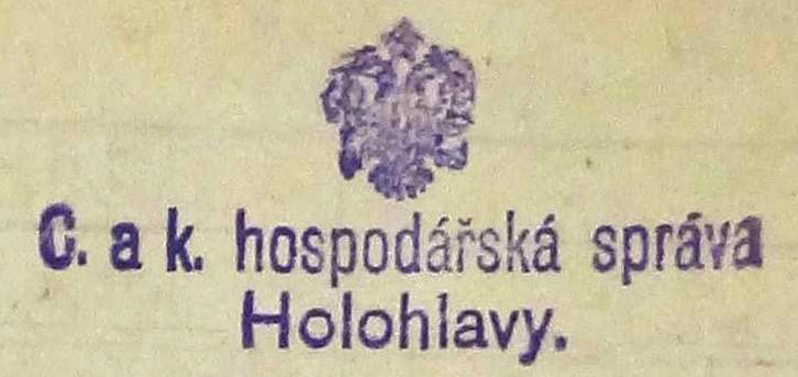 Holohlavy