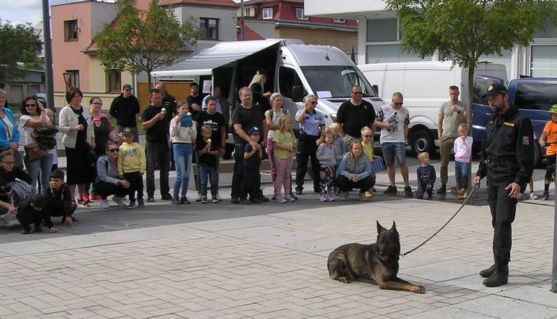 policie