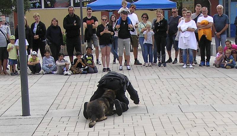 policie