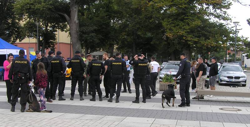 policie