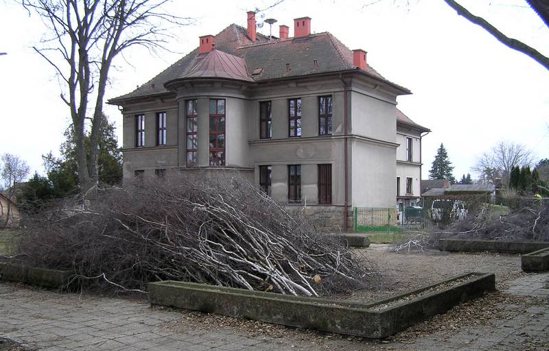 kácení