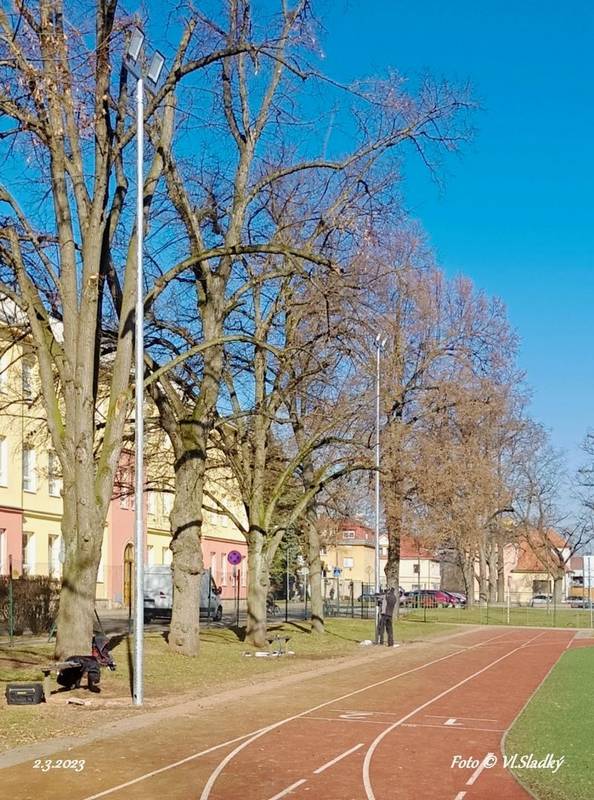 světla