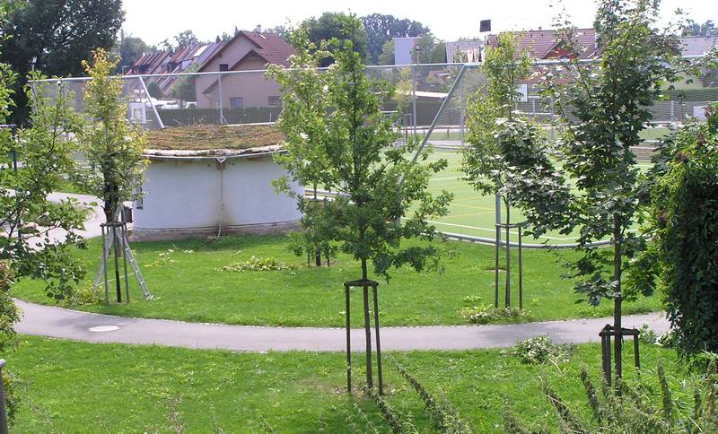 prořez