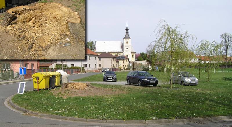 vrba