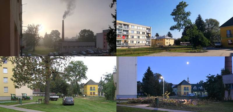 kácení