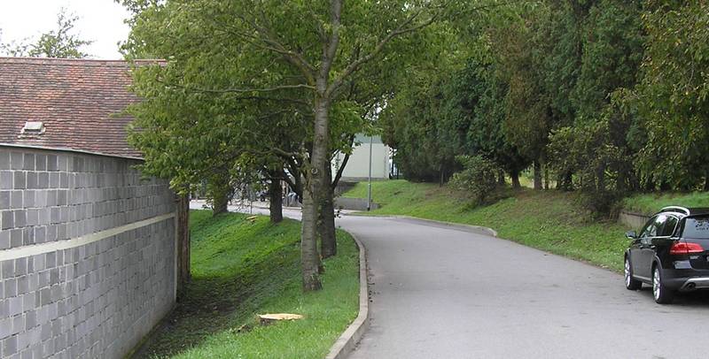 kácení
