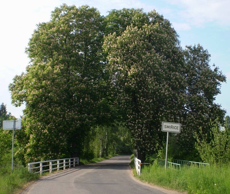 slavobrna