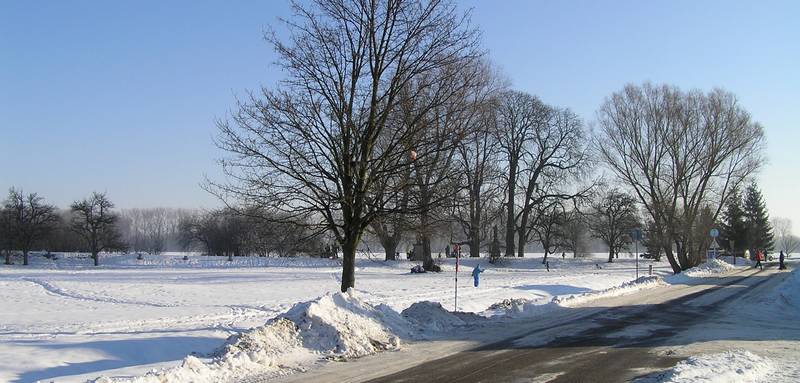 běžkování