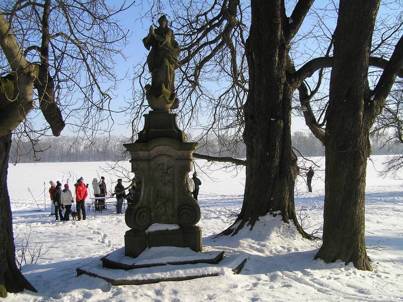 běžkování