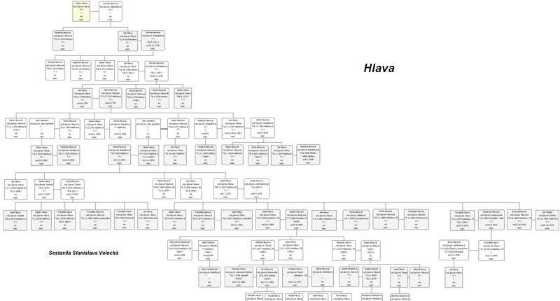 Rodokmen Hlava