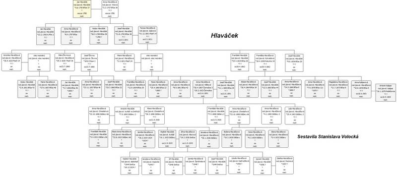 Rodokmen Hlavek