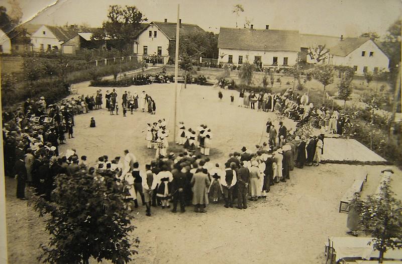 Horynová