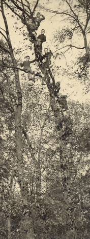 Ladislav ubrt