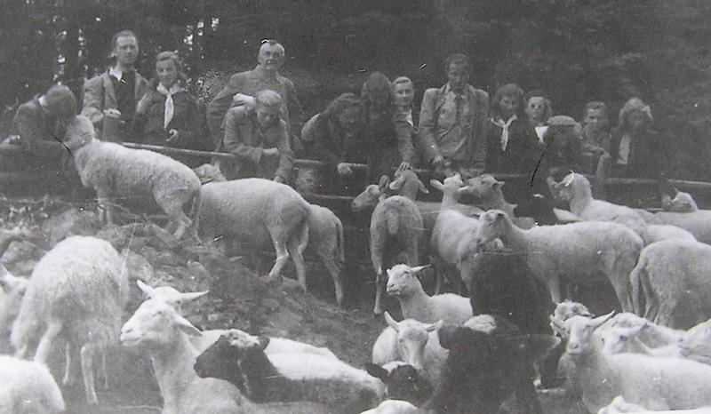 Vokøálová
