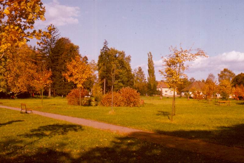 Smiřice