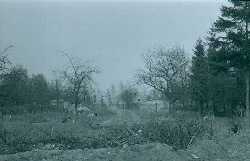 Smiřice