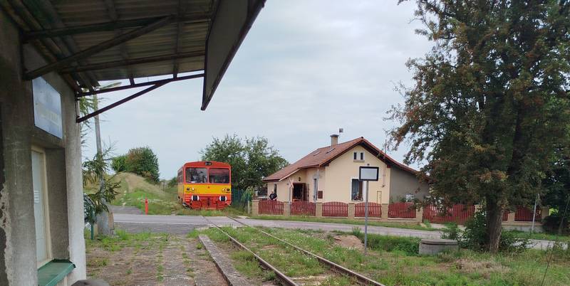 vlet