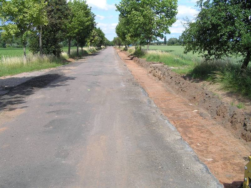 cesta