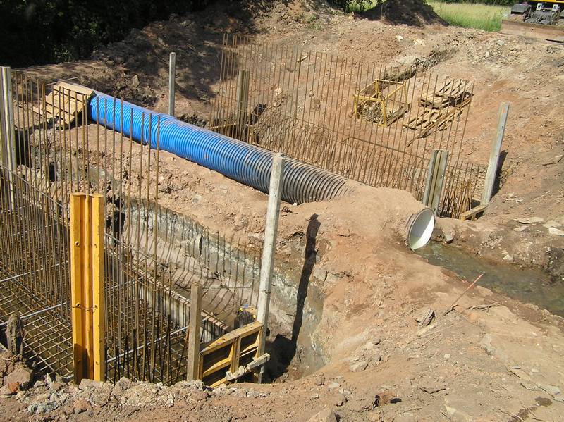 cesta