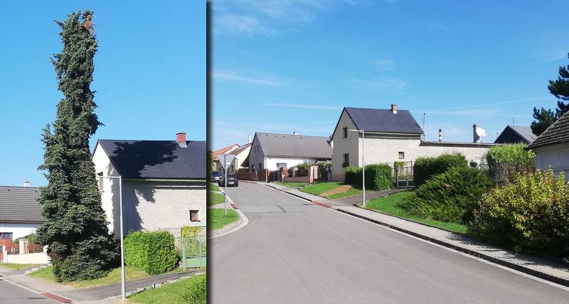 výlet
