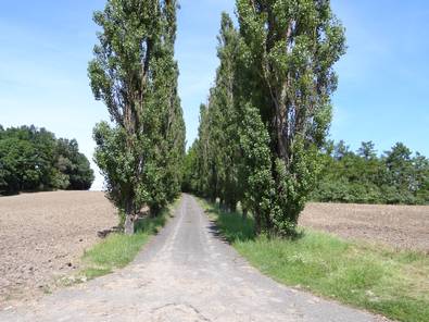 výlet