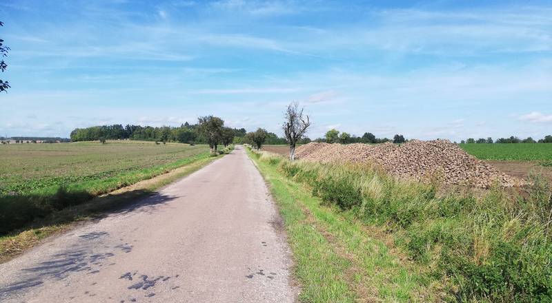 výlet