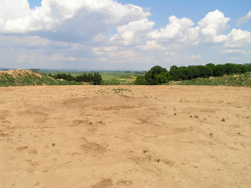 dálnice