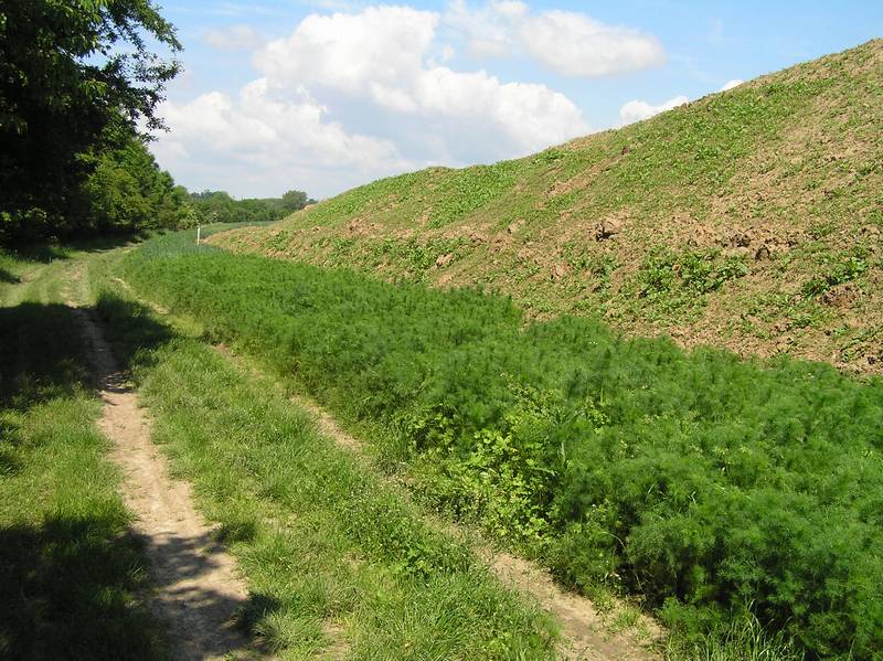 dálnice