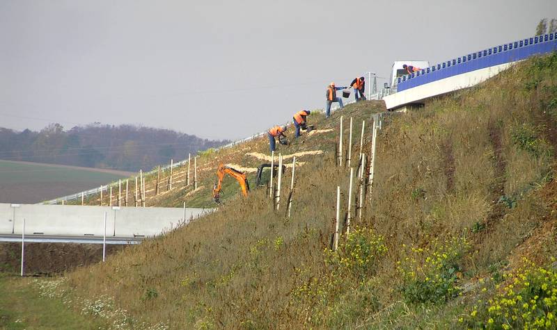 dálnice