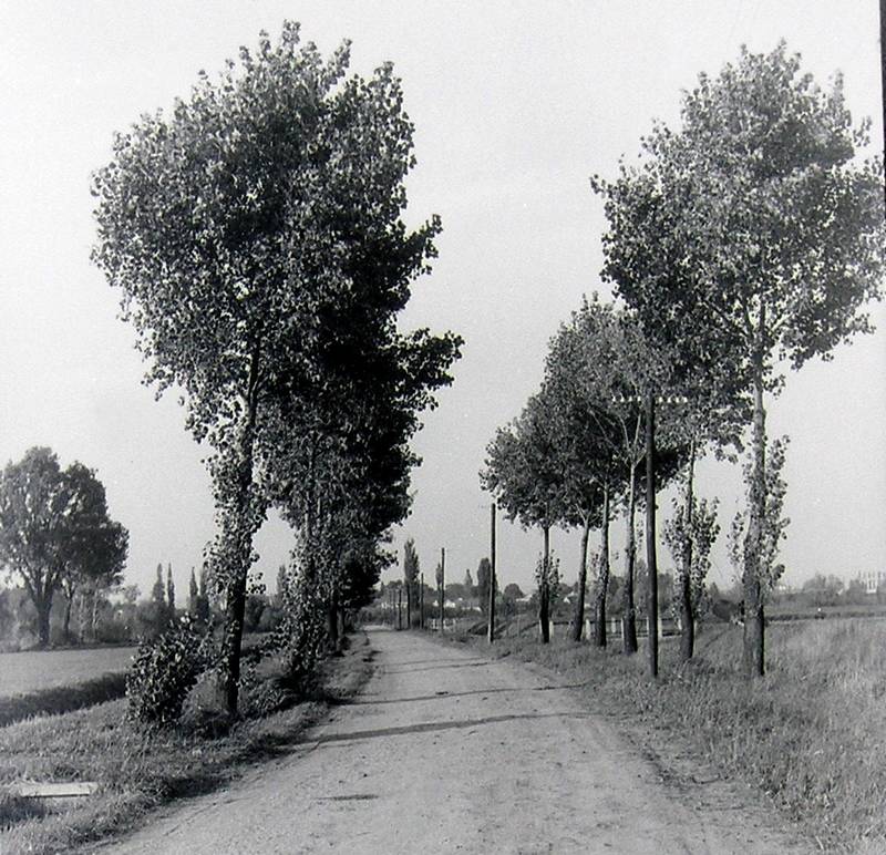 Joneš