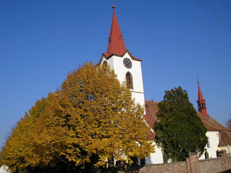 Jasenná