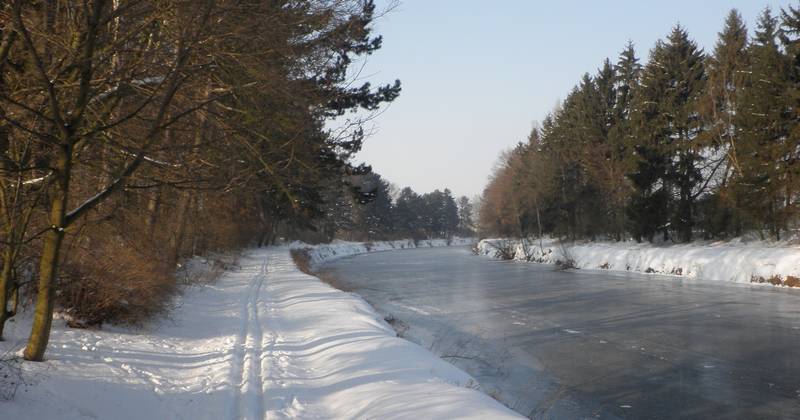lyže