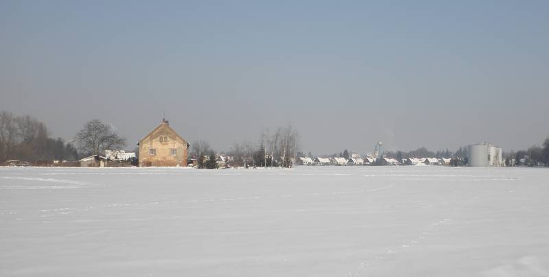 lyže