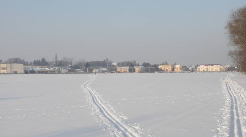 lyže