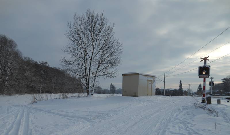 lyže