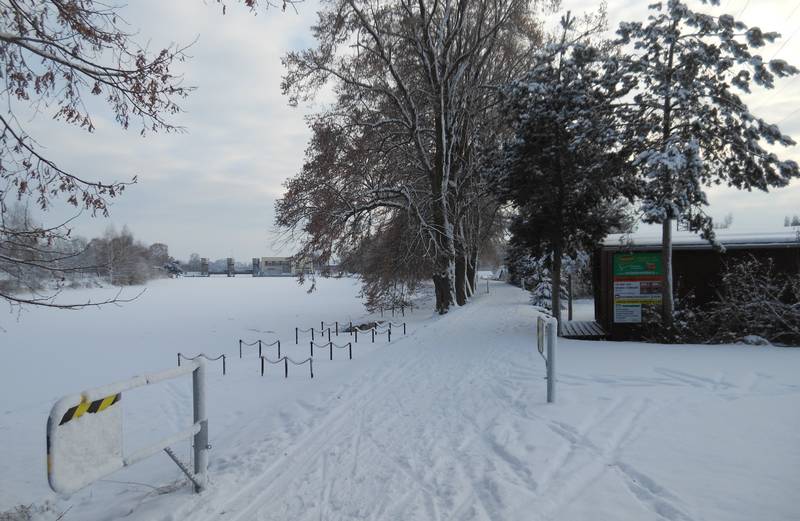 lyže