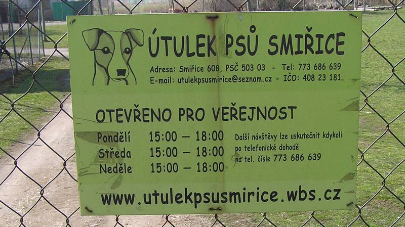 útulek pro psy