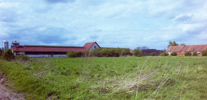 Rodov
