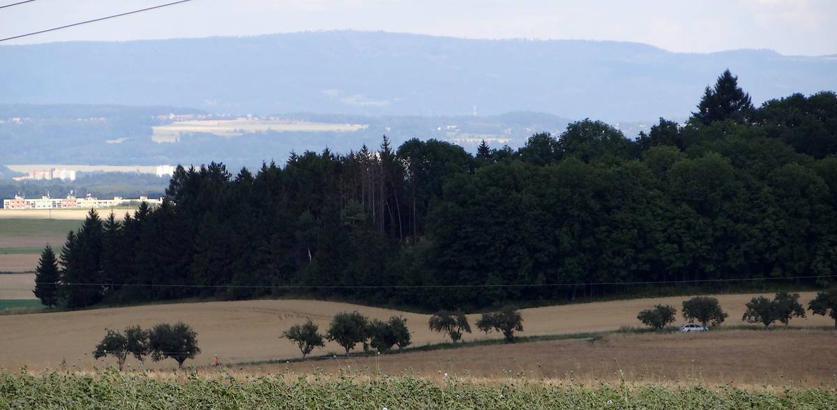 Polabská nížina