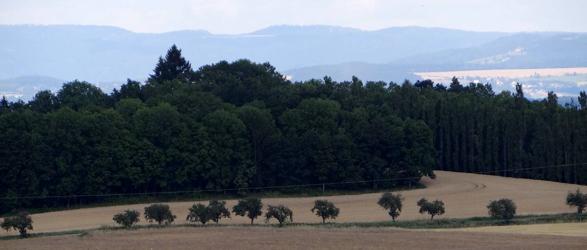 Polabská nížina