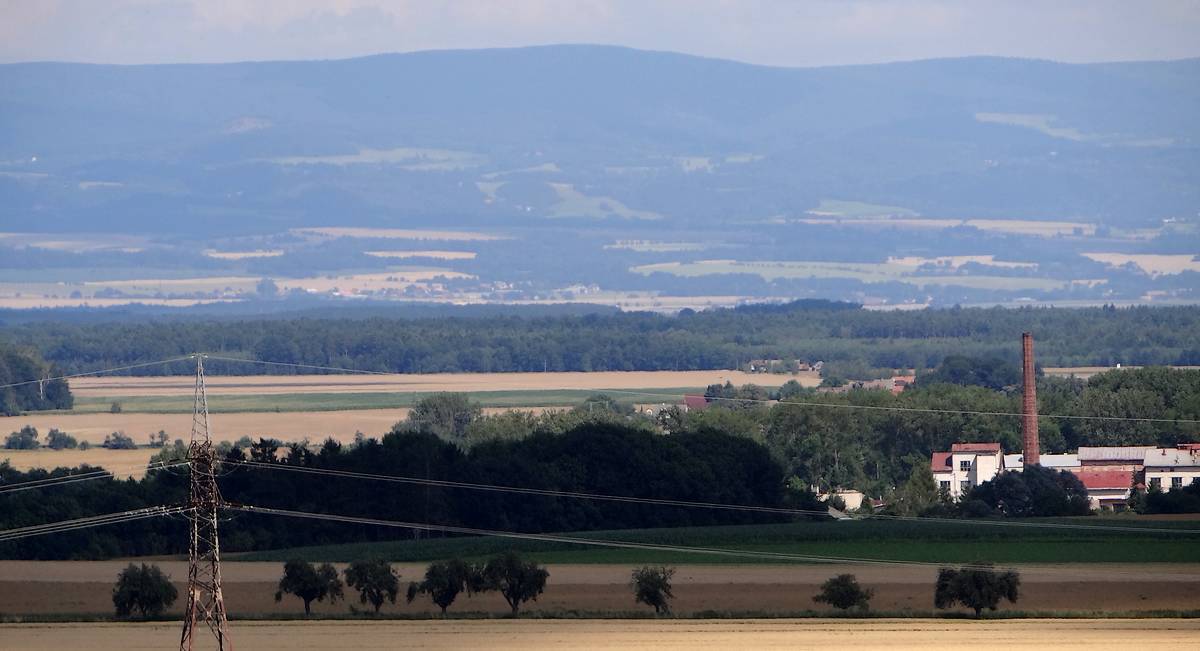 Polabská nížina