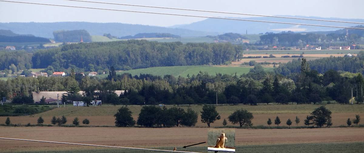 Polabská nížina